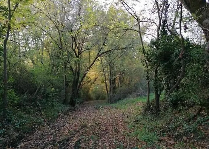 Communal Ecole * Montain (Tarn-et-Garonne)